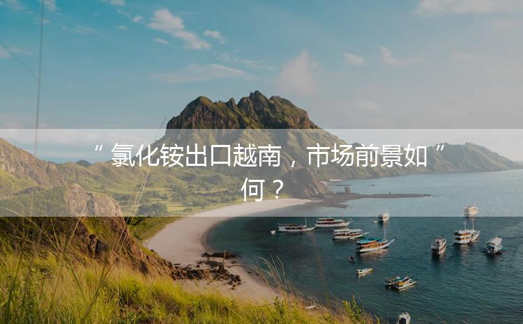 氯化銨出口越南，市場前景如何？